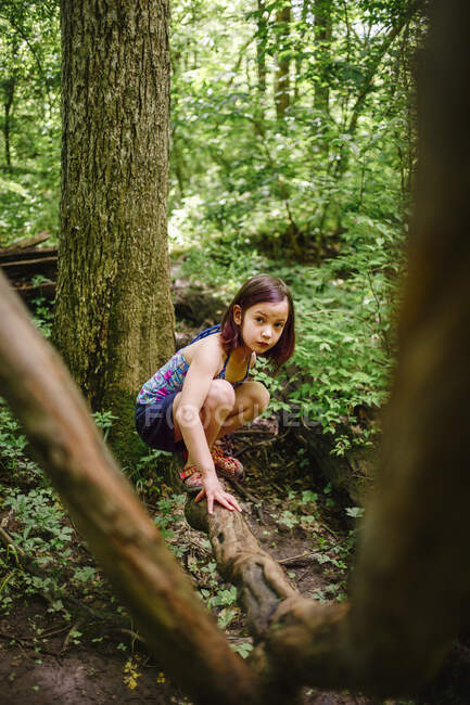 A cute girl with direct gaze balances on a fallen tree in the woods — Stock Photo