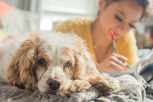 Gen Z writing in her journal while her pet dog stays with her — Stock Photo