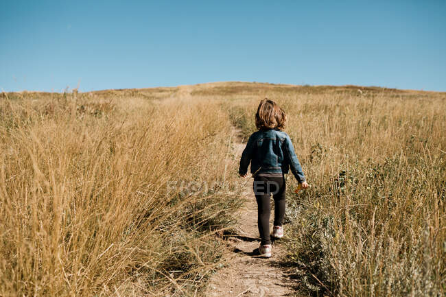 Jovem caminhando em um caminho em um campo de grama alta no outono — Fotografia de Stock