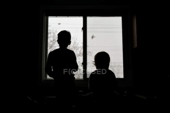 Двое детей смотрят в окно своей кухни на летающих птиц — стоковое фото