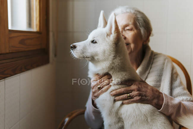 Elderly woman tenderly hugs her white Siberian husky puppy dog — Stock Photo