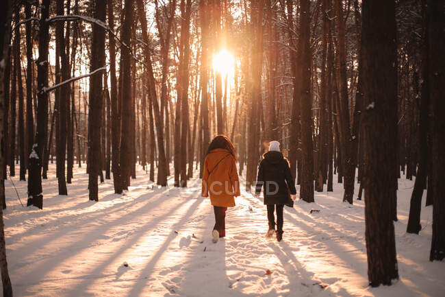 Back view of female friends walking in snow covered park during winter — Stock Photo