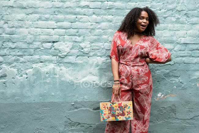 Fashion female African-American with curly hair, in a red dress, — Stock Photo