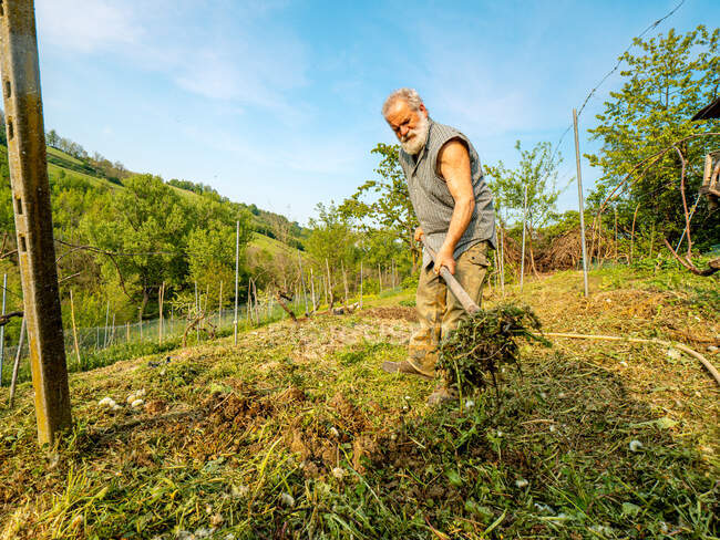 Healthy fit senior farmer preparing soil for vegetable in the farm — Stock Photo