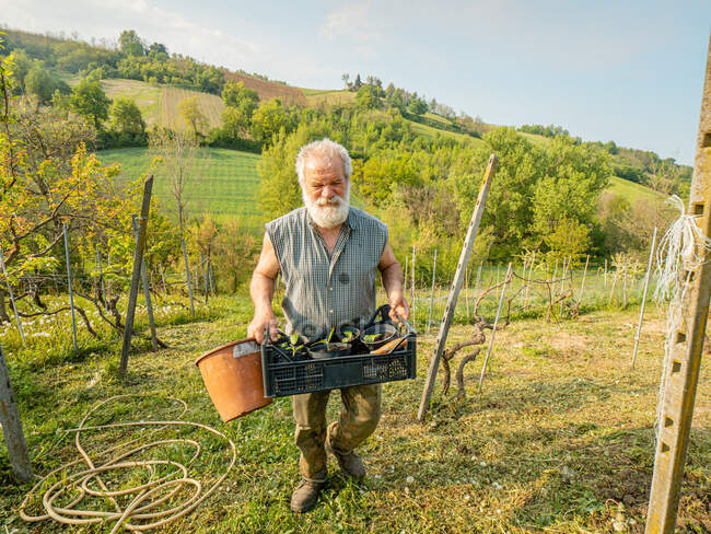 Senior-Landwirt hält Zucchini-Sprossen für Transplantation — Stockfoto
