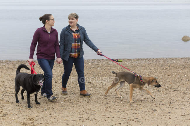 Same sex female couple holding hands walking dogs on Cape Cod beach — Stock Photo