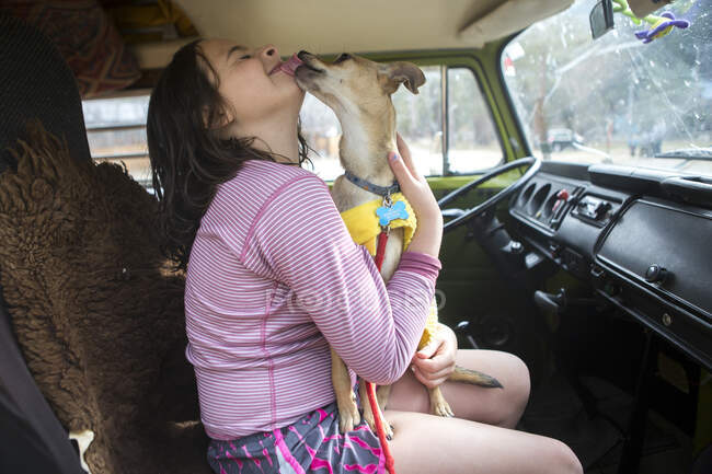 Un chihuahua lame la cara de una chica en VW caravana durante el viaje en carretera - foto de stock