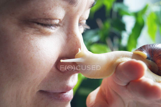 Caracol branco akhatina rasteja no nariz de uma mulher — Fotografia de Stock