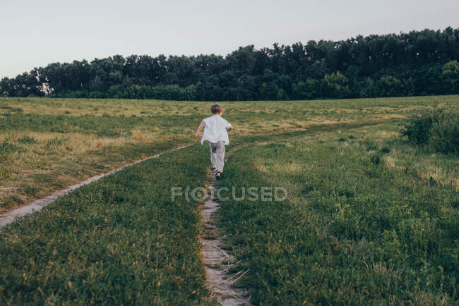 Portrait of a happy 5 years little cute boy, wearing white shirt standing in the field on green grass — Stock Photo
