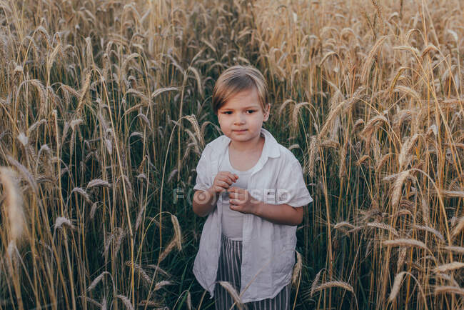 Retrato de um feliz 5 anos menino bonito pouco, vestindo camisa branca de pé no campo na grama verde — Fotografia de Stock