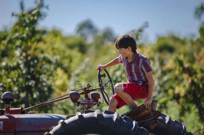 Un niño se sienta en un viejo tractor en un huerto de manzanas con luz dorada - foto de stock