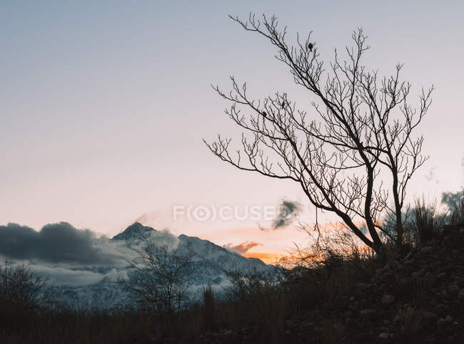 Schöne Landschaft in den Bergen vor Naturkulisse — Stockfoto
