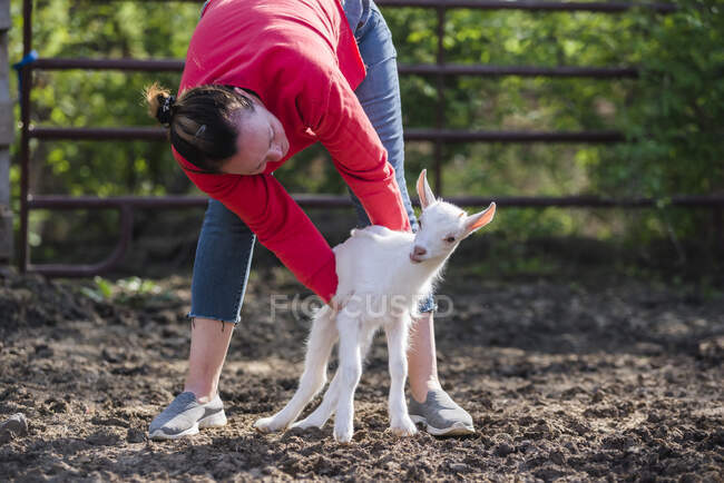 Una mujer con una sudadera roja sosteniendo una cabra blanca bebé. - foto de stock