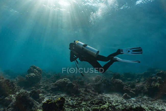 Foto subaquática de um mergulhador no mar — Fotografia de Stock