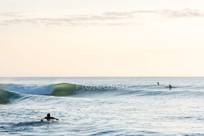 Friends surfing on a glassy day at sunrise — Stock Photo
