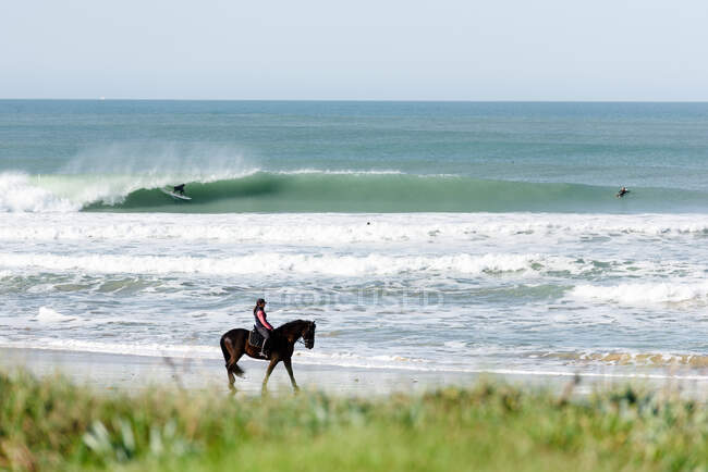 Um homem surfando e uma mulher montando um cavalo na praia — Fotografia de Stock