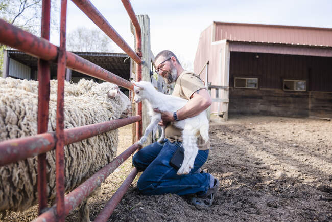Homme tenant un bébé chèvre blanche près d'un enclos à moutons. — Photo de stock
