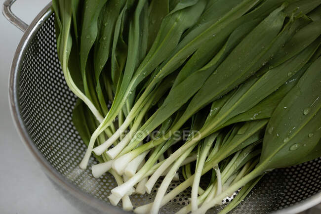 Fresh green onions in a pan on background, close up — Stock Photo
