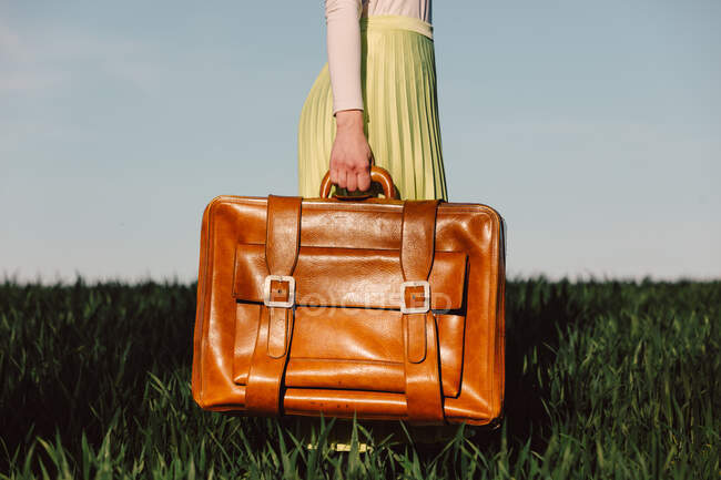 Жінка в зеленій спідниці тримає валізу на пшеничному полі — стокове фото