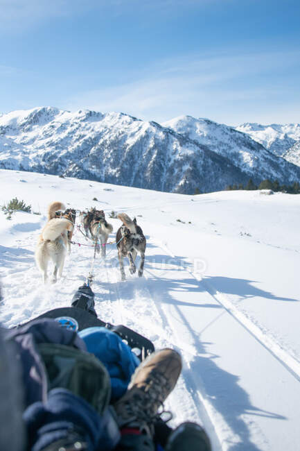 Giovane donna con cane nella neve sullo sfondo della natura — Foto stock