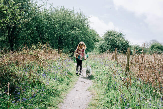 Junges Mädchen geht mit ihrem Hund inmitten der Blauglocken auf dem Land in Großbritannien spazieren — Stockfoto
