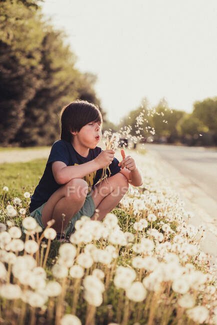 Jovem menino soprando flores de dente de leão em um dia ensolarado de verão. — Fotografia de Stock