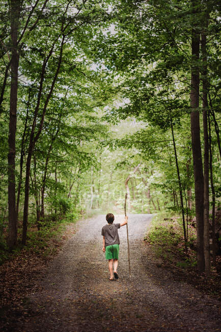 Rapaz bonito com grande pau caminhadas andando em um caminho na floresta. — Fotografia de Stock