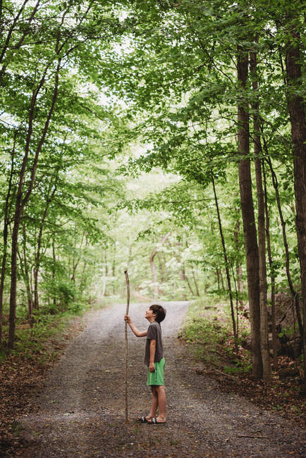 Lindo chico con gran bastón de senderismo de pie en un camino en el bosque. - foto de stock