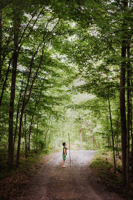 Ragazzo carino con grande bastone da trekking in piedi su un sentiero nella foresta. — Foto stock
