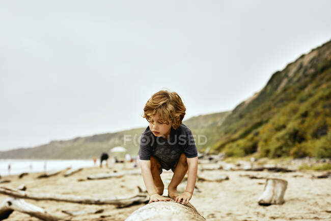 Mignon garçon accroupi sur tombé arbre à plage contre ciel clair — Photo de stock