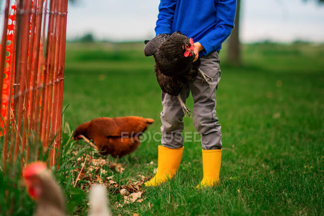 Menino bonito com galinha no parque — Fotografia de Stock