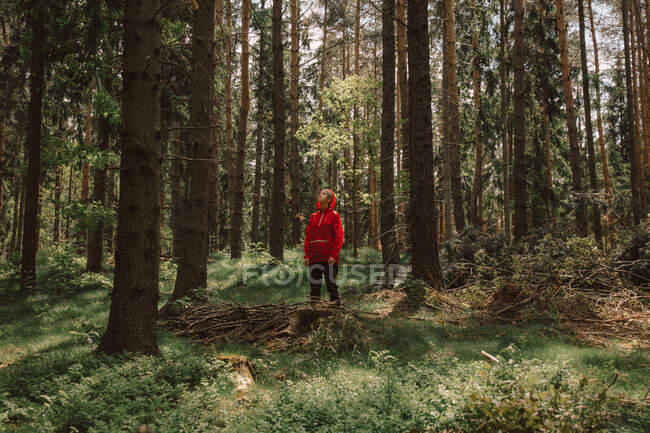 Жінка в червоному костюмі з рюкзаком в сосновому лісі — стокове фото