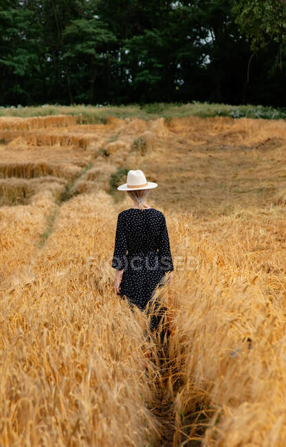 Женщина в шляпе и черном платье с чемоданом на пшеничном поле — стоковое фото