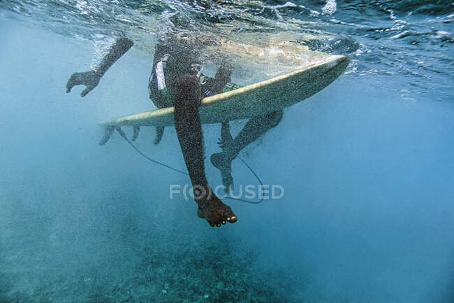 Surfer in Aktion mit Welle auf Naturhintergrund — Stockfoto