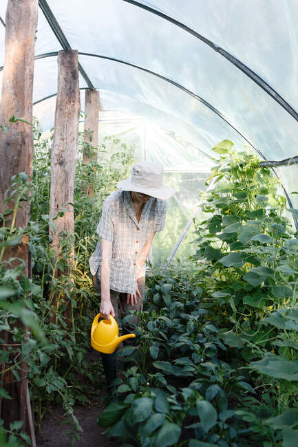 Jeune agricultrice s'occupant de légumes dans une serre — Photo de stock