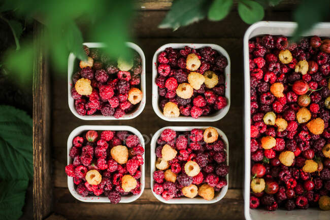 Many fresh red currants and raspberries in a boxes close up top view — Stock Photo