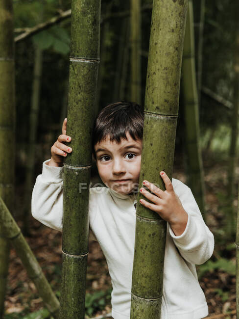 Entzückendes kleines Kind inmitten von Bambus in der Natur — Stockfoto