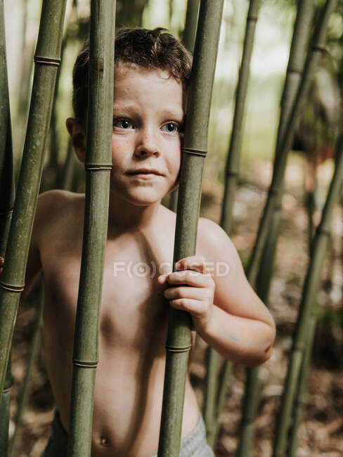 Criança adorável entre bambu na natureza — Fotografia de Stock