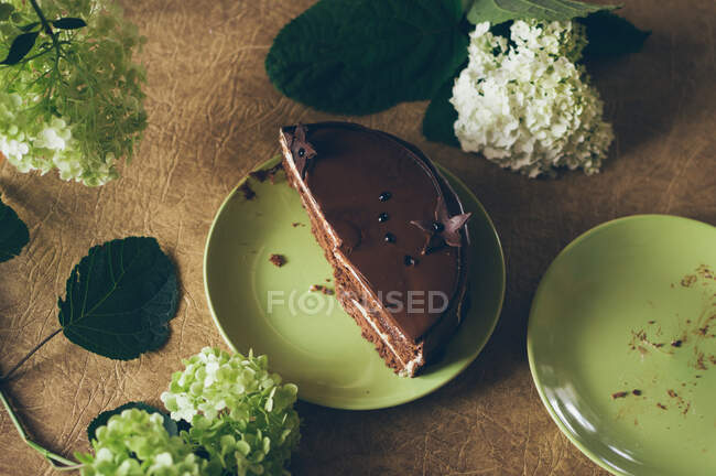 A plate of chocolate cake and hydrangea flowers on the tea table — Stock Photo