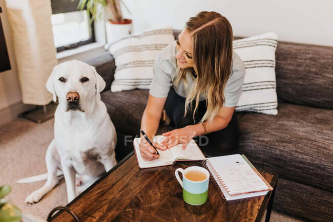 Schöne junge Frau mit Hund auf Sofa sitzend — Stockfoto