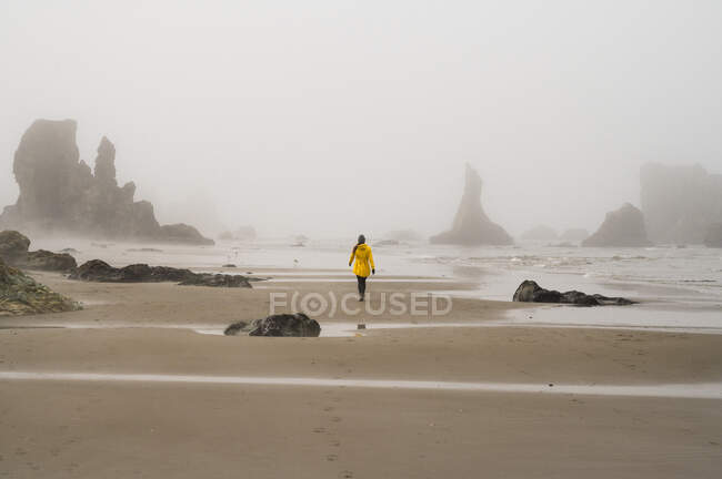 Hermosa vista del mar y la playa en Oregon - foto de stock