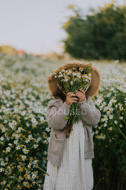 Маленька дівчинка в капелюсі покриває обличчя букетом ромашок . — стокове фото