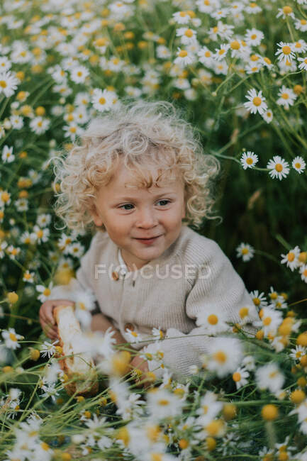 A little curly-haired boy is sitting in a chamomile field with a bun. — Stock Photo
