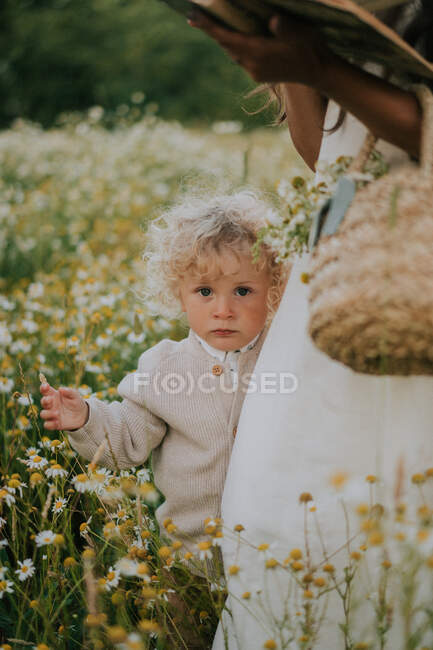 Ein kleiner Junge hält sich in einem Kamillenfeld an seiner Mutter fest — Stockfoto