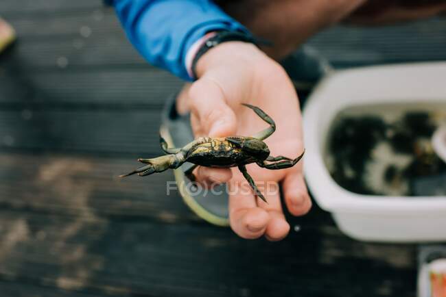 Gros plan de la main masculine tenant un crabe — Photo de stock