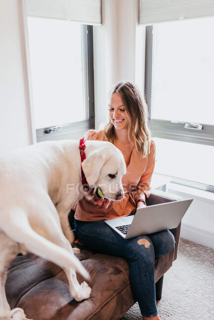 Молода жінка зі своєю собакою сидить на дивані і використовує ноутбук — стокове фото