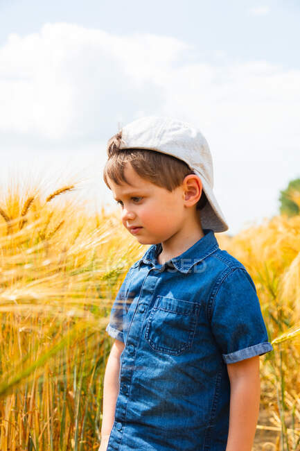 Garçon en chemise bleue est penser à quelque chose dans le champ de blé — Photo de stock
