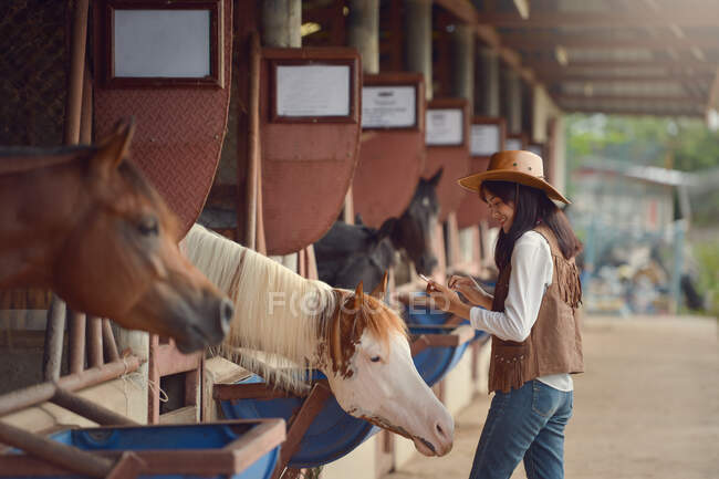 Vaquera establos de trabajo.Concepto de mujer retro en estilo ranch.vintage caballo - foto de stock