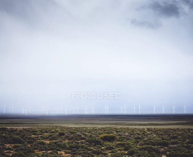 Turbinas eólicas no campo no fundo da natureza — Fotografia de Stock