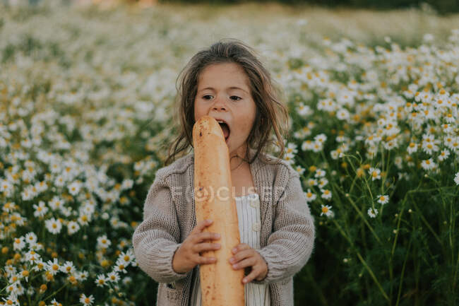 A little girl is standing in a field of daisies, biting bread — Stock Photo